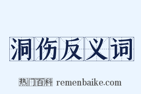 洞伤反义词是什么意思的图片